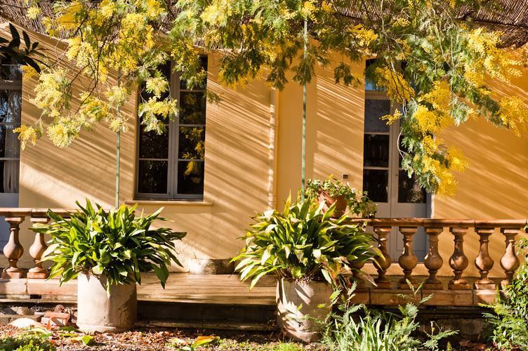 Les Buis Bed and Breakfast Ille-sur-Têt Εξωτερικό φωτογραφία